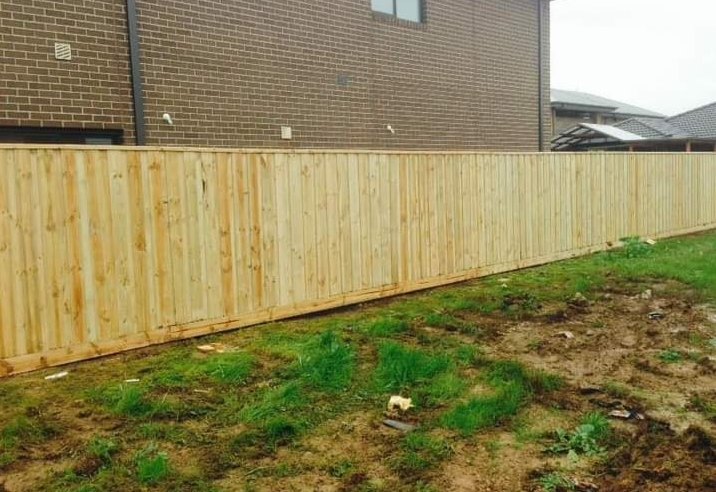 A new timber paling fence on a cleared boundary