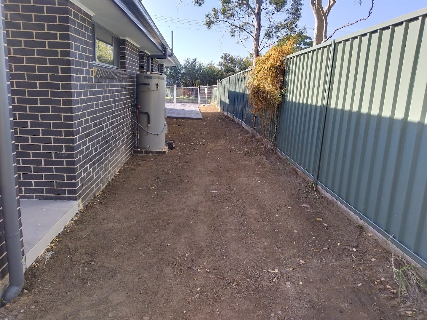A cleared and tidied side path between Colorbond fences
